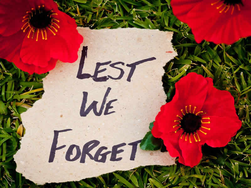 We remember those who gave their lives Image