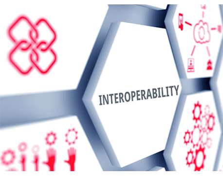 Supporting, Sustainable, National and Interoperable Solutions Image